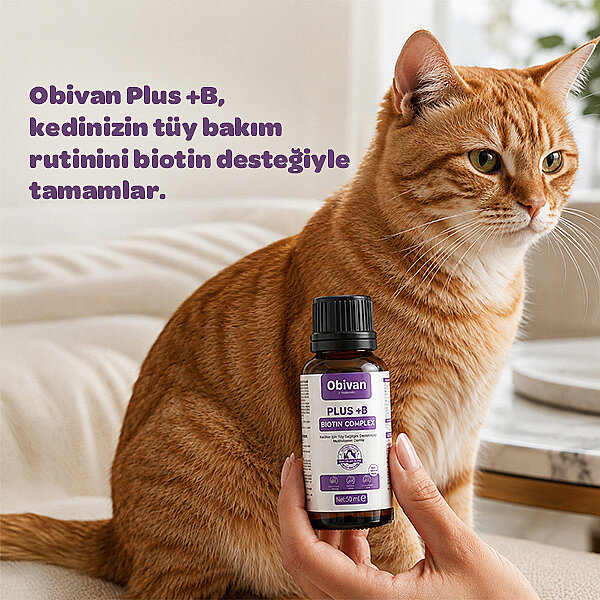 Obivan Premium Plus+B Kediler İçin Tüy Dökümünü Azaltan Besleyen Tüy Döküm Önleyici Multivitamin Damla 50ml - 5