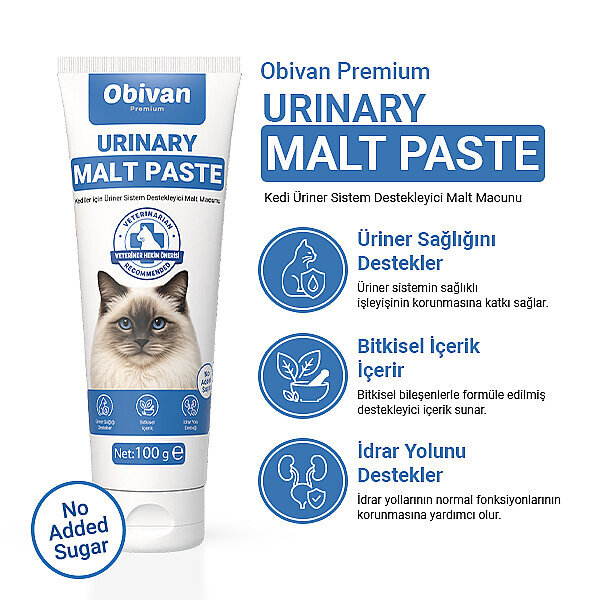 Obivan Premium Urinary Sistem Destekleyici Malt Kedi Macunu 100 gr - 2