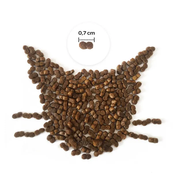 Obivan Selection Kitten Düşük Tahıllı Kuzu Etli Yavru Kedi Maması 1 kg - 4