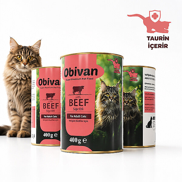 Obivan Sığır Etli Sos İçinde Gravy Yetişkin Kedi Konservesi 400 gr x 6 Adet - 3