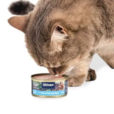 Obivan Tahılsız Somon Balıklı Ezme Kısırlaştırılmış Yaş Kedi Maması 80 GR - 4