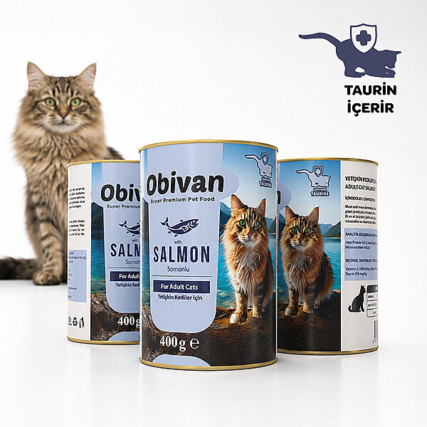 Obivan Somon Balıklı Sos İçinde Gravy Yetişkin Kedi Konservesi 400 gr x 6 Adet - 3
