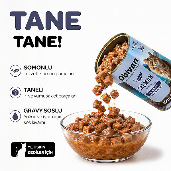 Obivan Somon Balıklı Sos İçinde Gravy Yetişkin Kedi Konservesi 400 gr x 6 Adet - 2