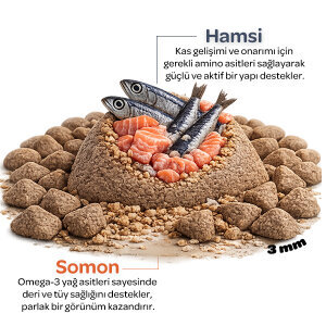 Obivan Kitten Somonlu ve Hamsili Yavru Kedi Maması 10kg - 2