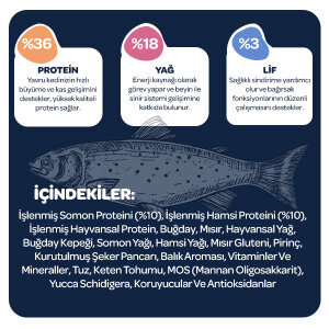 Obivan Kitten Somonlu ve Hamsili Yavru Kedi Maması 10kg - 3