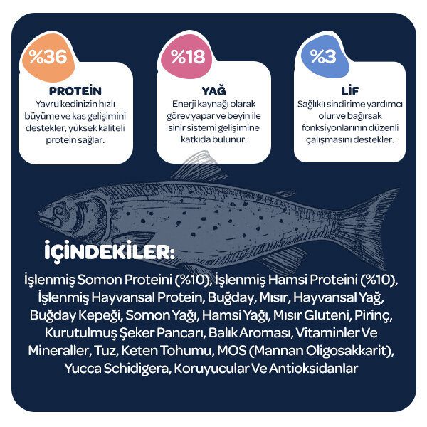 Obivan Kitten Somonlu ve Hamsili Yavru Kedi Maması 10kg - 3