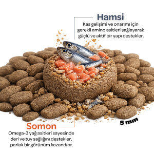Obivan Somonlu ve Hamsili Yetişkin Kedi Maması 10kg - 3