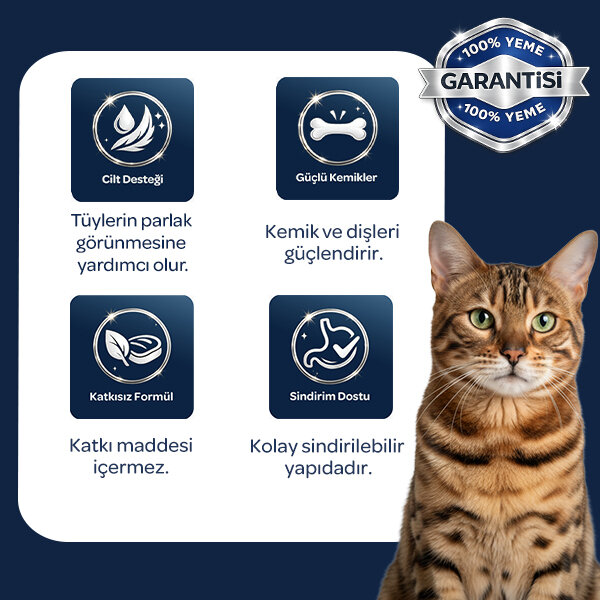 Obivan Somonlu ve Hamsili Yetişkin Kedi Maması 10kg - 5