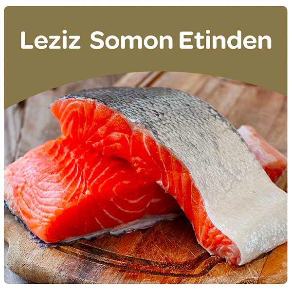 Obivan Sterilised Somonlu ve Hamsili Kısırlaştırılmış Kedi Maması 10kg - 5