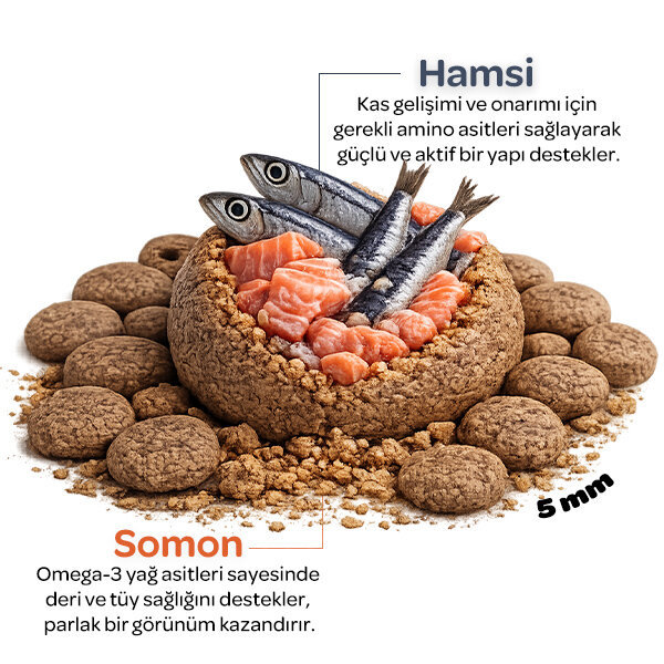 Obivan Sterilised Somonlu ve Hamsili Kısırlaştırılmış Kedi Maması 10kg - 3