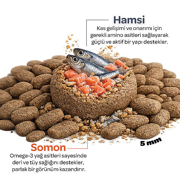 Obivan Somonlu ve Hamsili Yetişkin Kedi Maması 2 kg - 4