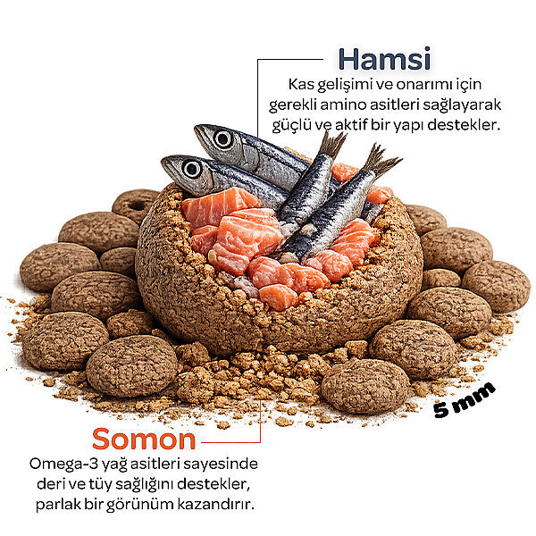 Obivan Sterilised Somonlu ve Hamsili Kısırlaştırılmış Kedi Maması 2 kg - 3