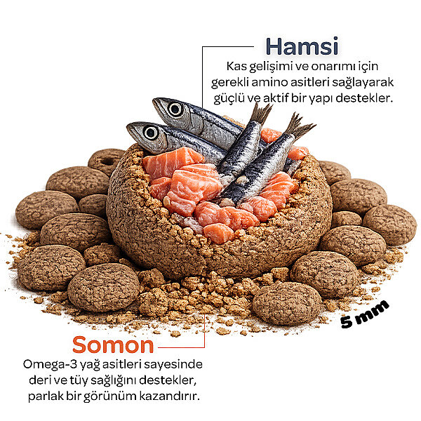 Obivan Sterilised Somonlu ve Hamsili Kısırlaştırılmış Kedi Maması 2 kg - 3