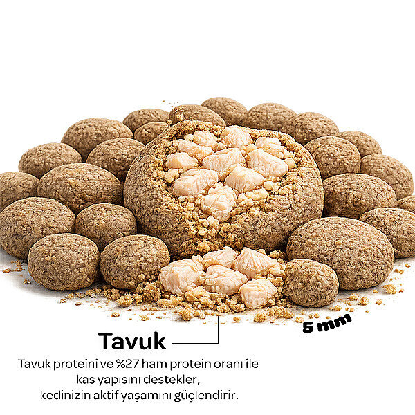 Obivan Tavuklu Yetişkin Kedi Maması 2 kg - 3