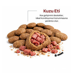 Obivan Senior Kuzu Etli Yaşlı Köpek Maması 15 Kg - 3