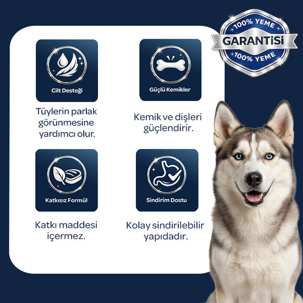 Obivan Senior Kuzu Etli Yaşlı Köpek Maması 15 Kg - 5