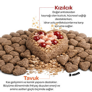Obivan Kitten Tavuklu ve Kızılcıklı Yavru Kedi Maması 10kg - 3