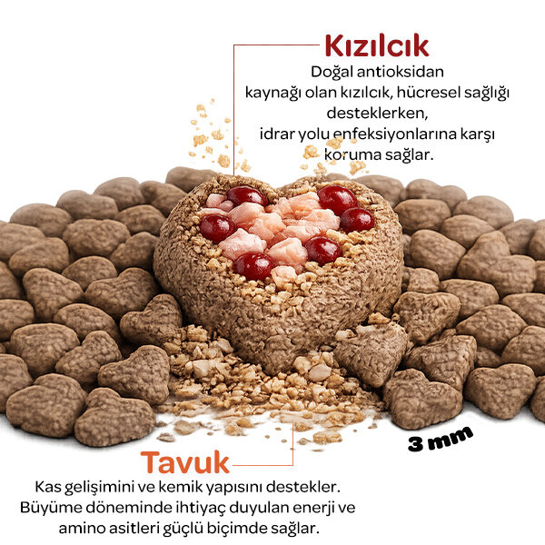 Obivan Kitten Tavuklu ve Kızılcıklı Yavru Kedi Maması 10kg - 3