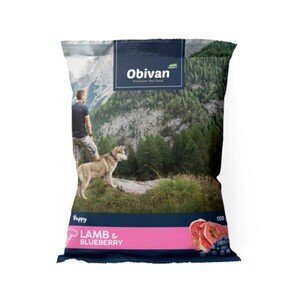 Obivan Tester Yavru Köpek Maması 100 gr