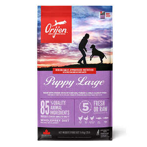 Orijen Büyük Irk Yavru Köpek Maması 11,4 KG - 1