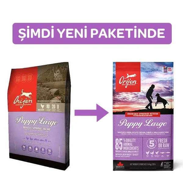Orijen Büyük Irk Yavru Köpek Maması 11,4 KG - 2