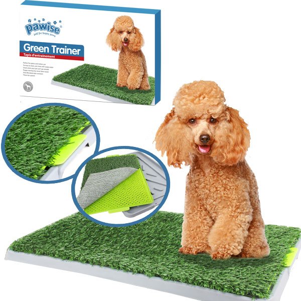 Pawise Köpek Çiş Eğitimi Yapay Çimli Tuvalet Kabı - 1