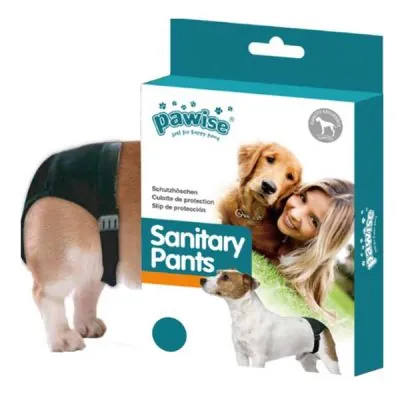 Pawise Köpek Külodu No:5 - 2