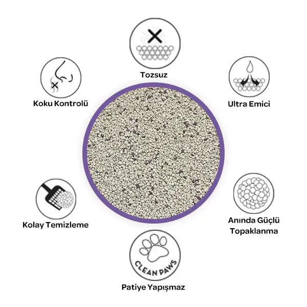Petclay Lavanta Kokulu İnce Renkli Taneli Kedi Kumu 10 LT - 3