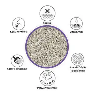 Petclay Lavanta Kokulu İnce Renkli Taneli Kedi Kumu 5 LT - 3