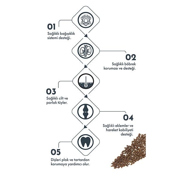 Pro Performance Kuzu Etli ve Yaban Mersinli Küçük Irk Köpek Maması 7 Kg - 5