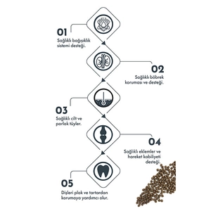 Pro Performance Kuzu Etli ve Yaban Mersinli Küçük Irk Yavru Köpek Maması 7 Kg - 3