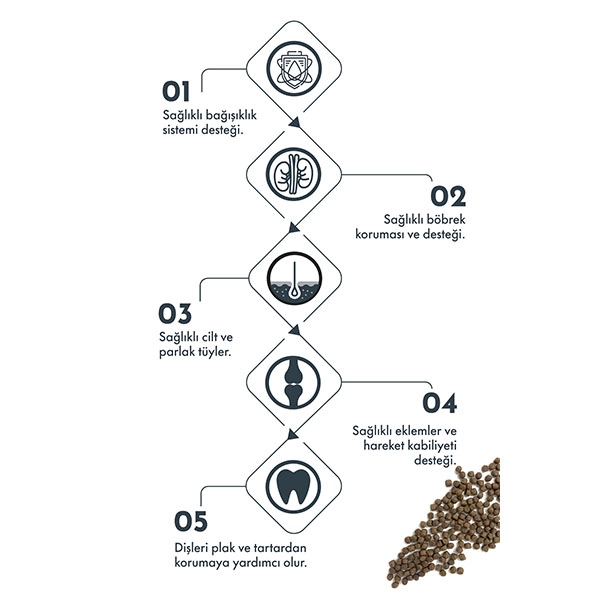 Pro Performance Kuzu Etli ve Yaban Mersinli Küçük Irk Yavru Köpek Maması 7 Kg - 3