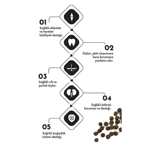 Pro Performance Ultra Premium Hipoalerjenik Somonlu ve Yaban Mersinli Yavru Köpek Maması 12 Kg - 3