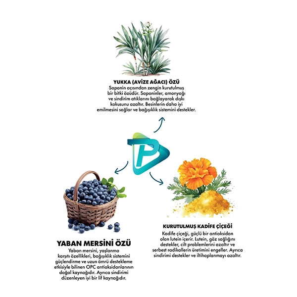 Pro Performance Ultra Premium Hipoalerjenik Somonlu ve Yaban Mersinli Yavru Köpek Maması 12 Kg - 2