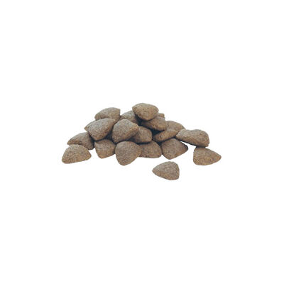 Pro Plan Sensitive Digestion Kuzu Etli Yetişkin Köpek Maması 14 kg - 5
