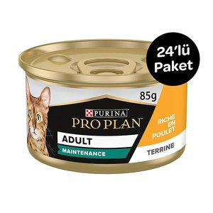 Pro Plan Tavuklu Kedi Yaş Maması 85 gr x 24