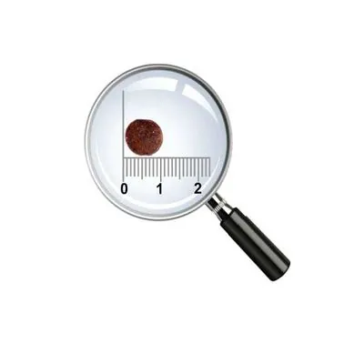 Pro Choice Balıklı Hypoallergenic Köpek Maması 12 KG - 2