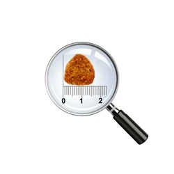 Pro Choice Yaşlı Kuzulu Köpek Maması 12 KG - 2