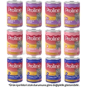 Proline Pate içinde Et Parçacıklı Karışık Kedi Yaş Maması 395 Gr X 12 Adet