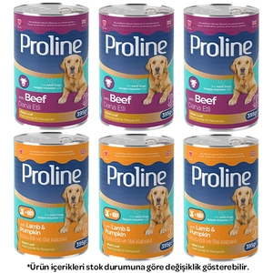Proline Pate içinde Et Parçacıklı Karışık Köpek Yaş Maması 395 Gr X 6 Adet