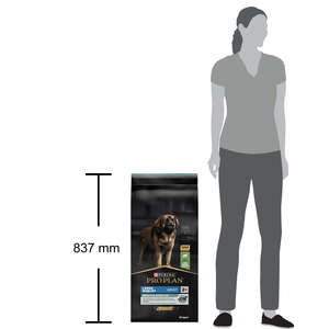 Pro Plan Large Robust Kuzu Etli Büyük Irk Yetişkin Köpek Maması 14 kg - 4