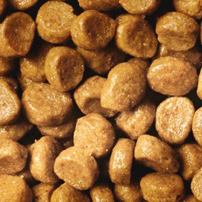 Pro Plan Kitten Tavuklu Yavru Kedi Maması 3 kg - 2