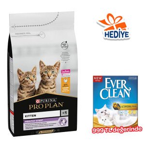 Pro Plan Kitten Tavuklu Yavru Kedi Maması 10 kg