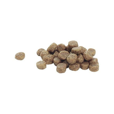 Pro Plan Puppy Small Mini Somonlu Küçük Irk Yavru Köpek Maması 3 kg - 4