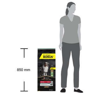 Pro Plan Sensitive Digestion Kuzu Etli Yetişkin Köpek Maması 14kg + 2,5 kg HEDİYE! - 4