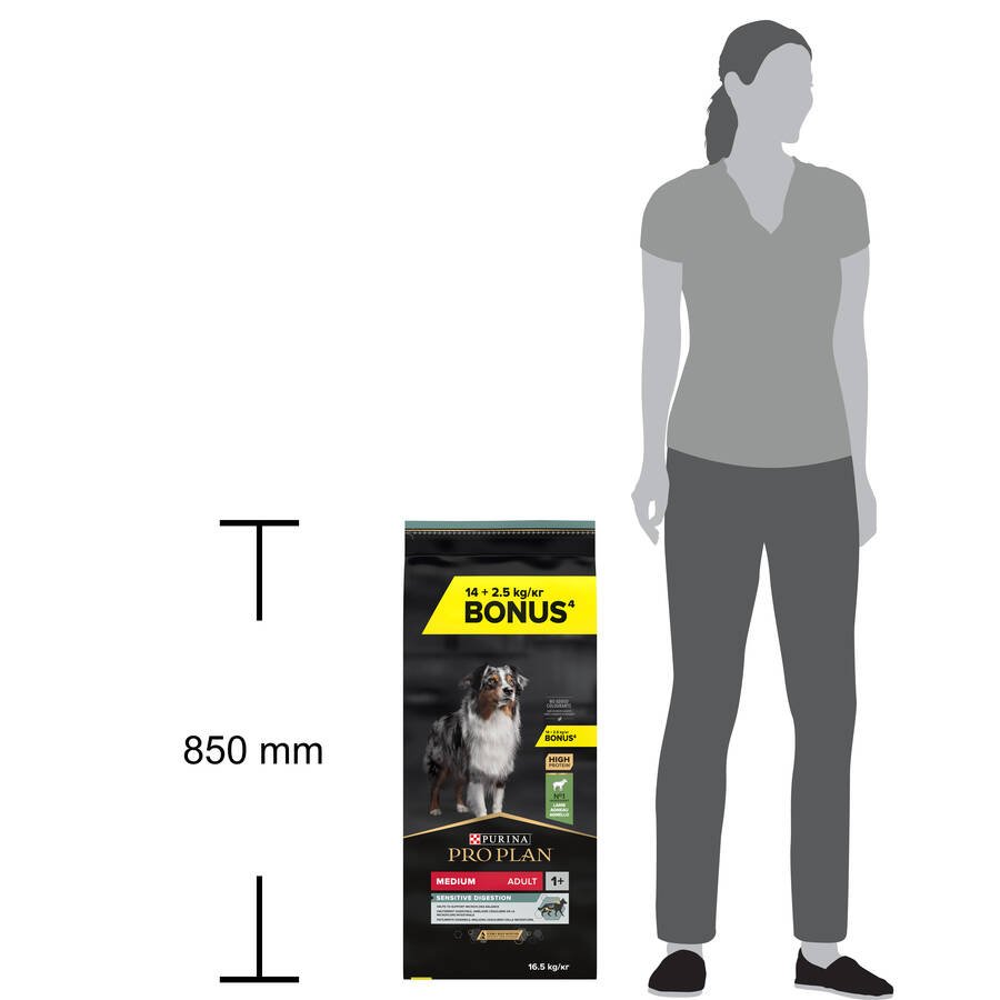 Pro Plan Sensitive Digestion Kuzu Etli Yetişkin Köpek Maması 14kg + 2,5 kg HEDİYE! - 4