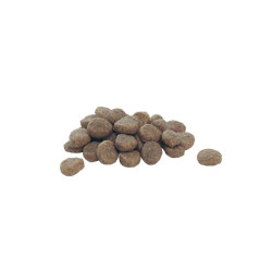 Pro Plan Puppy Sensitive Digestion Kuzu Etli Yavru Köpek Maması 12 kg - 2
