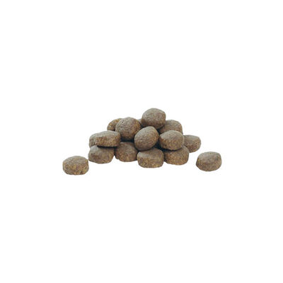 Pro Plan Puppy Large Robust Tavuklu Büyük Irk Yavru Köpek Maması 12 kg - 3