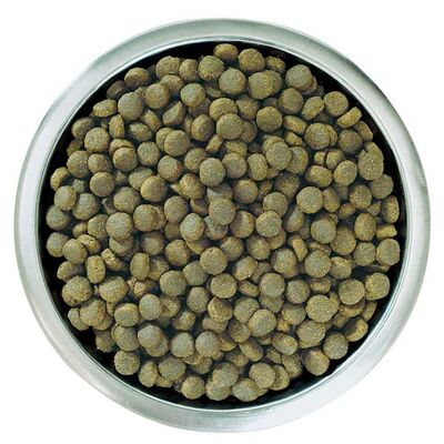 Pro Plan Puppy Large Robust Tavuklu Büyük Irk Yavru Köpek Maması 12 kg - 5