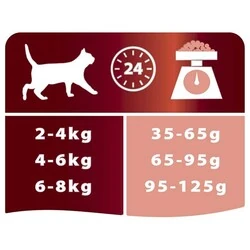 Pro Plan Somonlu Yetişkin Kedi Maması 1.5 kg - 4
